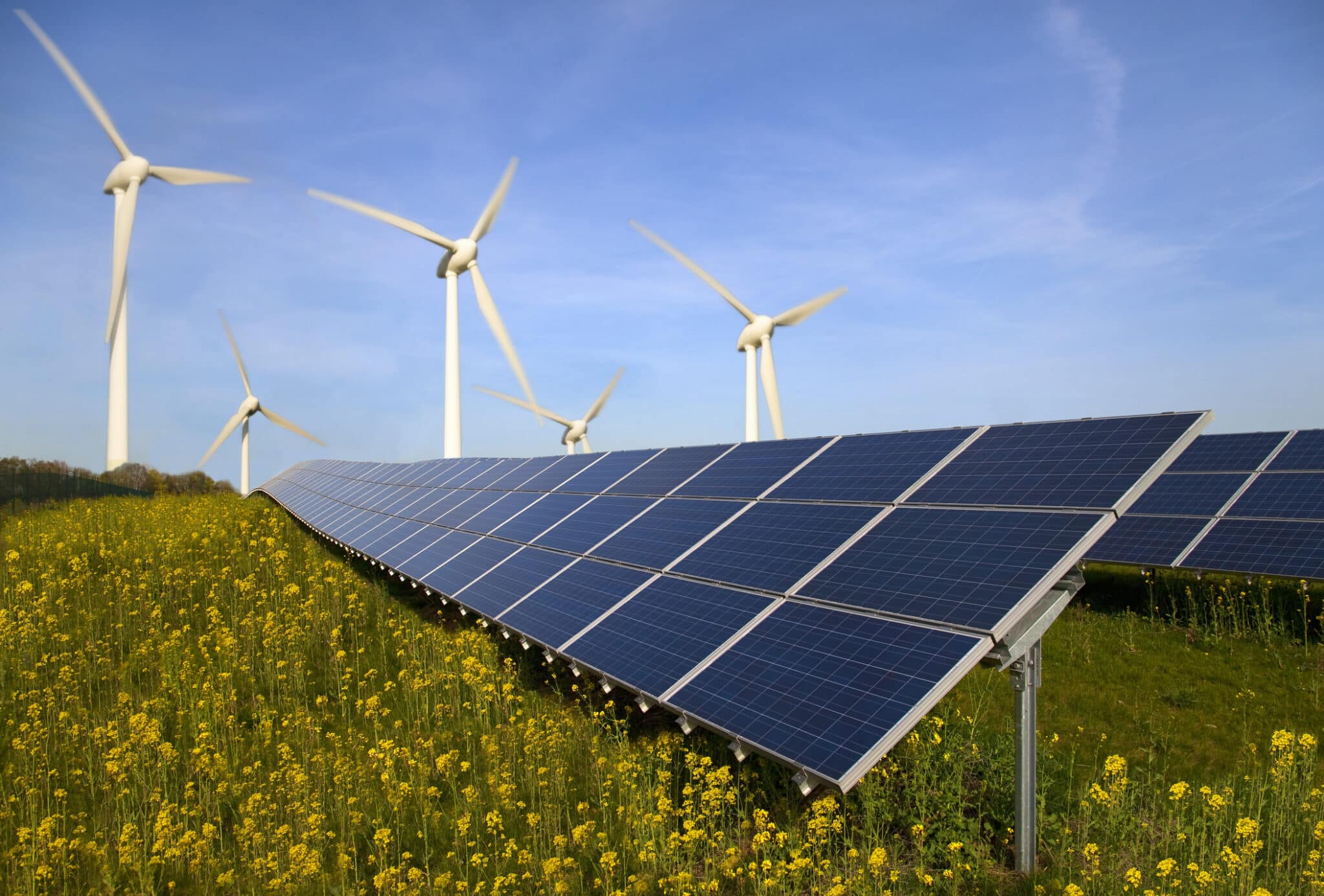 Illustration of wind turbines, a solar panel and a sapling
